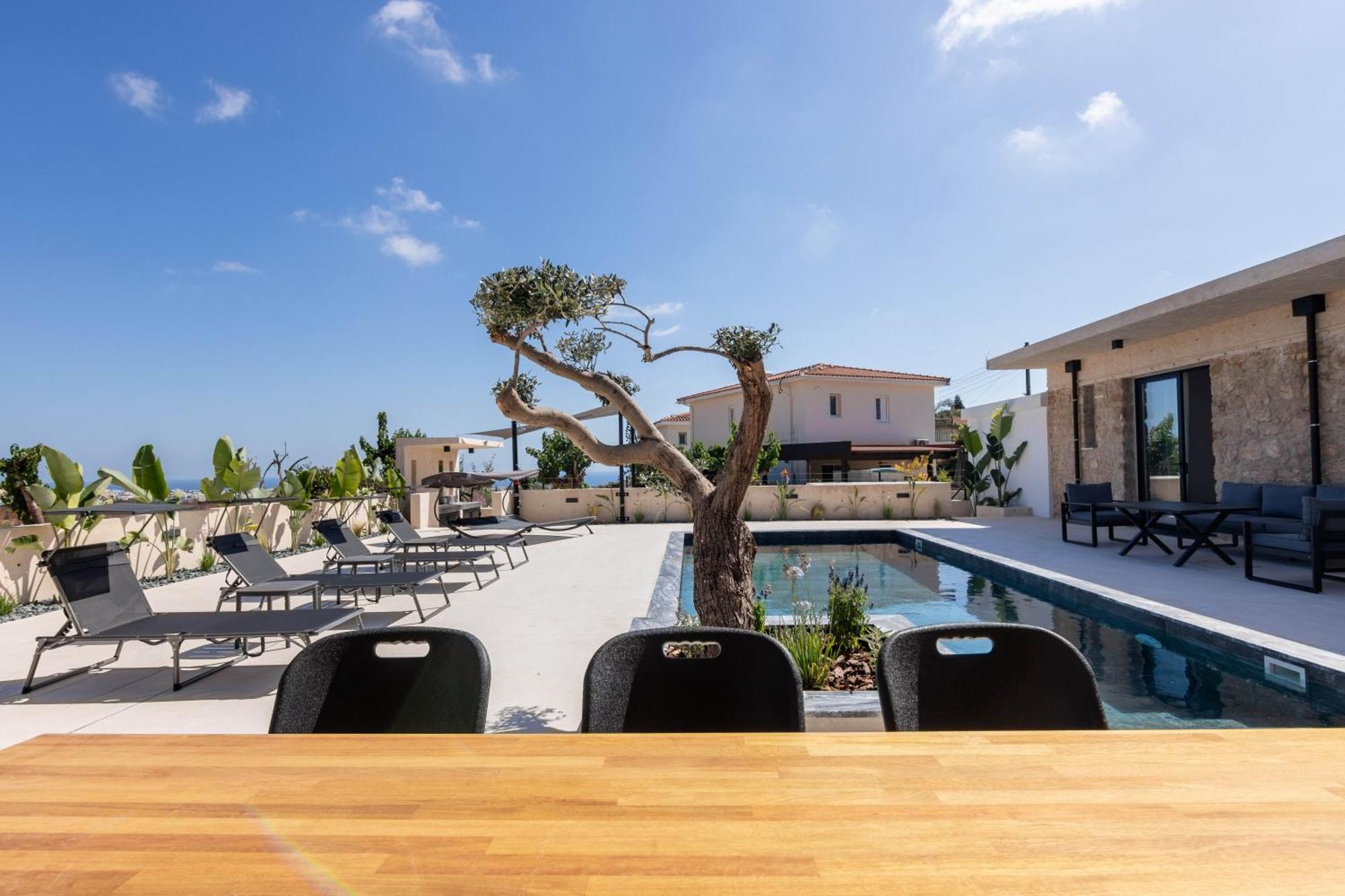 Phaedrus Living Olive Grove Luxury Villa Paphos Eksteriør bilde